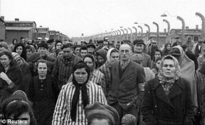 auschwitz_survivors