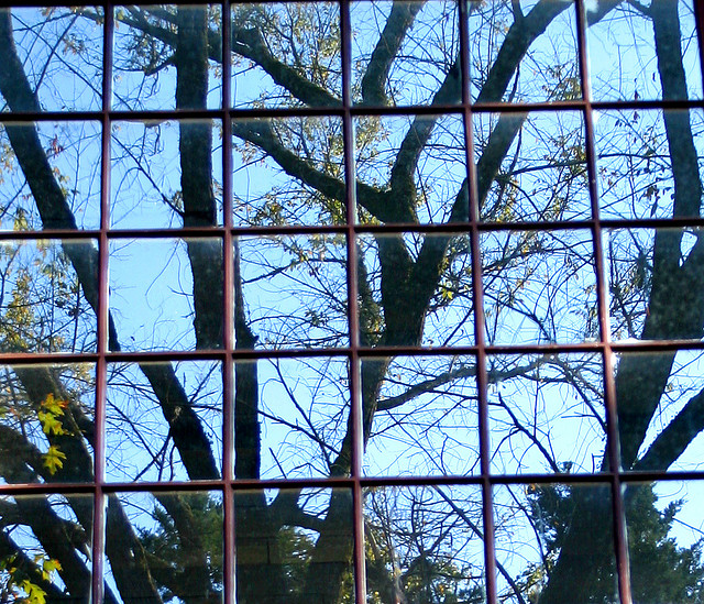 2054441552_907145010d_z